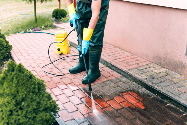 Best Dumpster Area Cleaning  in Indian River Estates, FL